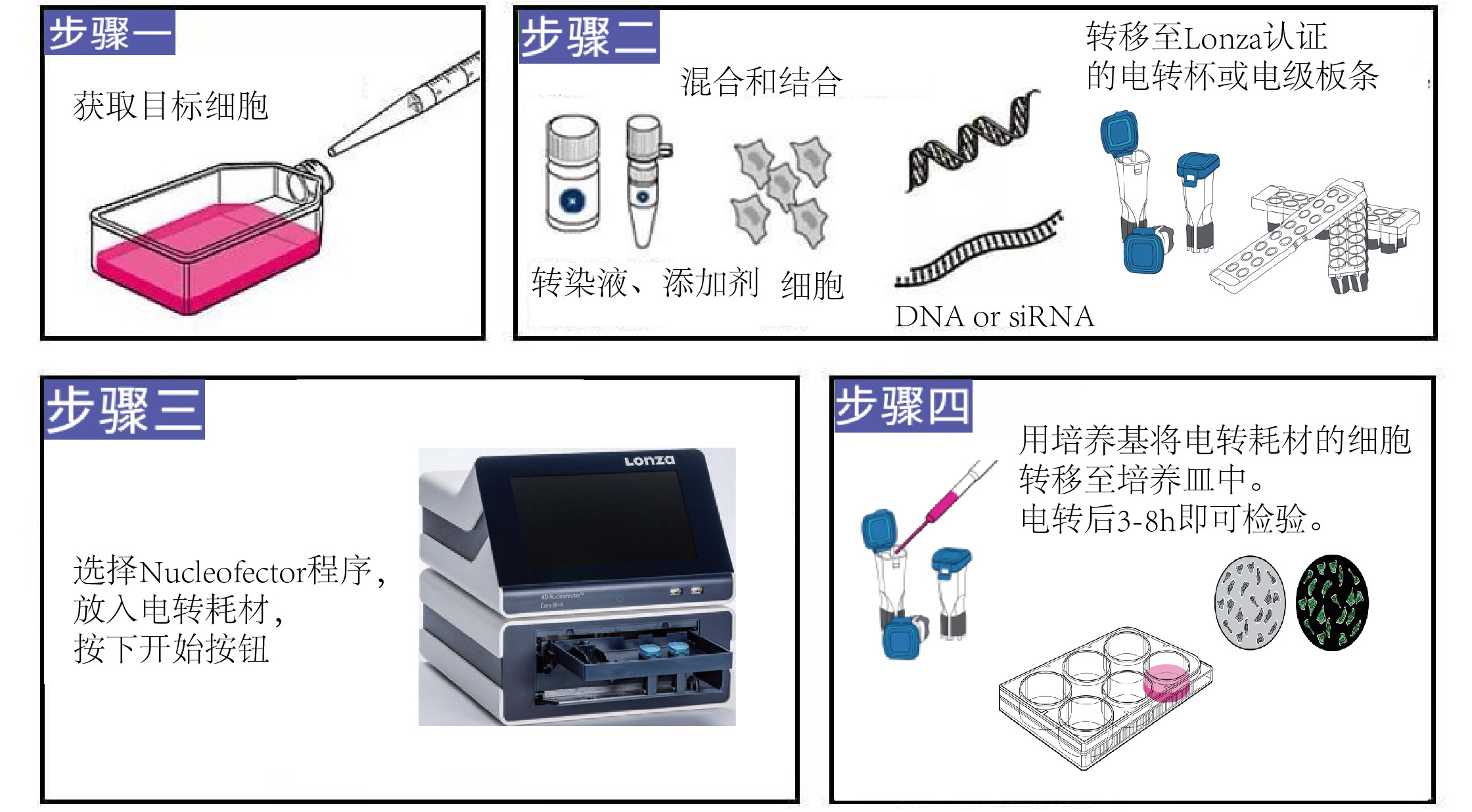 4D-Nucleofector®细胞和转染系统